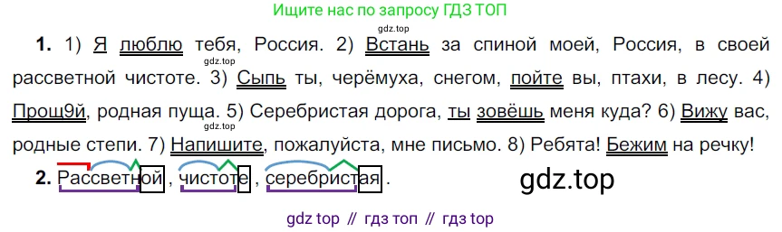 ГДЗ Русский язык, 5 класс Учебник, авторы: Разумовская Маргарита Михайловна, Львова Светлана Ивановна, Капинос Валентина Ивановна, Львов Валентин Витальевич, Богданова Галина Александровна, Тронина Татьяна Сергеевна, Сергеева Наталья Николаевна, издательство Просвещение, Москва, 2023, белого цвета, Часть 2, страница 45, номер 504, Решение 3 (2023)