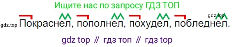 ГДЗ Русский язык, 5 класс Учебник, авторы: Разумовская Маргарита Михайловна, Львова Светлана Ивановна, Капинос Валентина Ивановна, Львов Валентин Витальевич, Богданова Галина Александровна, Тронина Татьяна Сергеевна, Сергеева Наталья Николаевна, издательство Просвещение, Москва, 2023, белого цвета, Часть 2, страница 84, номер 623, Решение 3 (2023)