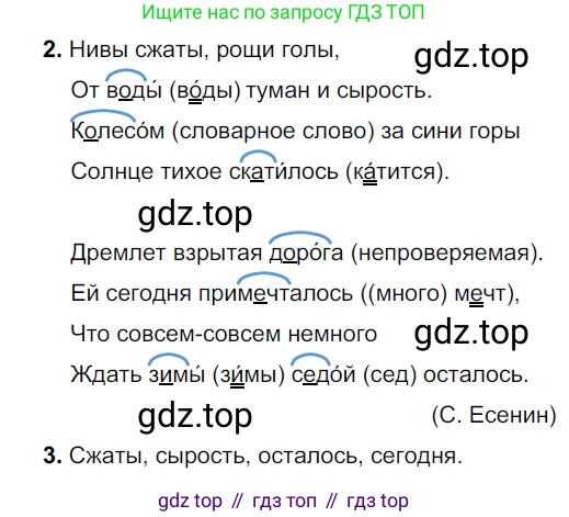 ГДЗ Русский язык, 5 класс Учебник, авторы: Разумовская Маргарита Михайловна, Львова Светлана Ивановна, Капинос Валентина Ивановна, Львов Валентин Витальевич, Богданова Галина Александровна, Тронина Татьяна Сергеевна, Сергеева Наталья Николаевна, издательство Просвещение, Москва, 2023, белого цвета, Часть 1, страница 36, номер 82, Решение 3 (2023)