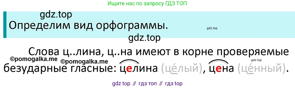 ГДЗ Русский язык, 5 класс Учебник, авторы: Разумовская Маргарита Михайловна, Львова Светлана Ивановна, Капинос Валентина Ивановна, Львов Валентин Витальевич, Богданова Галина Александровна, Тронина Татьяна Сергеевна, Сергеева Наталья Николаевна, издательство Просвещение, Москва, 2023, белого цвета, Часть 1, страница 48, номер 123, Решение 4 (2023)