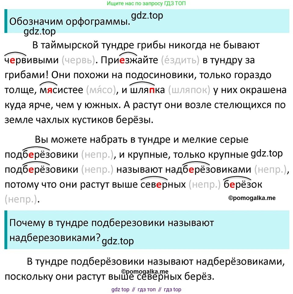 ГДЗ Русский язык, 5 класс Учебник, авторы: Разумовская Маргарита Михайловна, Львова Светлана Ивановна, Капинос Валентина Ивановна, Львов Валентин Витальевич, Богданова Галина Александровна, Тронина Татьяна Сергеевна, Сергеева Наталья Николаевна, издательство Просвещение, Москва, 2023, белого цвета, Часть 1, страница 51, номер 135, Решение 4 (2023)