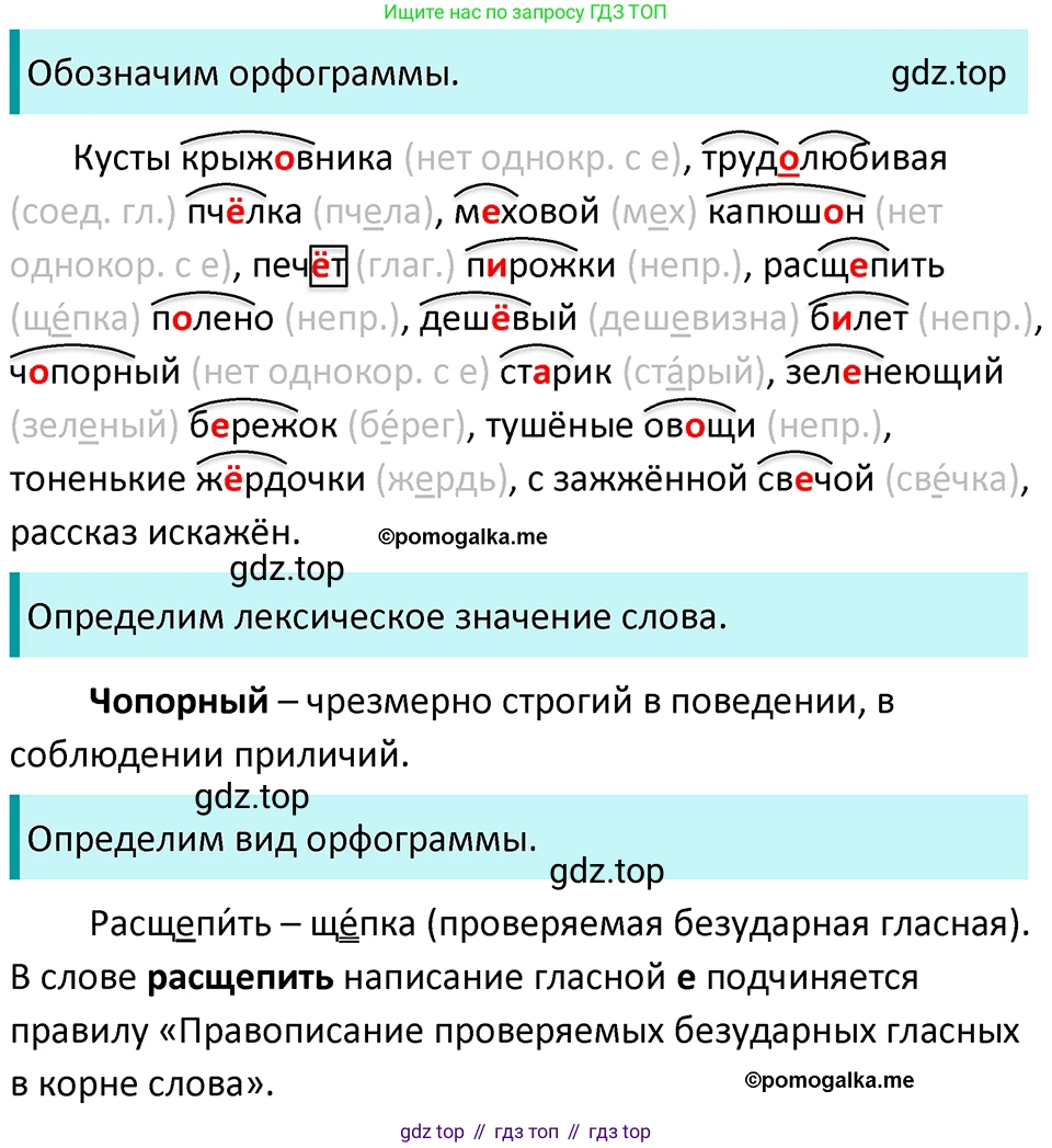 ГДЗ Русский язык, 5 класс Учебник, авторы: Разумовская Маргарита Михайловна, Львова Светлана Ивановна, Капинос Валентина Ивановна, Львов Валентин Витальевич, Богданова Галина Александровна, Тронина Татьяна Сергеевна, Сергеева Наталья Николаевна, издательство Просвещение, Москва, 2023, белого цвета, Часть 1, страница 96, номер 281, Решение 4 (2023)