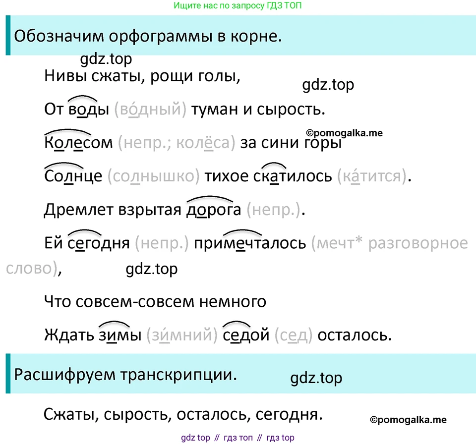 ГДЗ Русский язык, 5 класс Учебник, авторы: Разумовская Маргарита Михайловна, Львова Светлана Ивановна, Капинос Валентина Ивановна, Львов Валентин Витальевич, Богданова Галина Александровна, Тронина Татьяна Сергеевна, Сергеева Наталья Николаевна, издательство Просвещение, Москва, 2023, белого цвета, Часть 1, страница 36, номер 82, Решение 4 (2023)