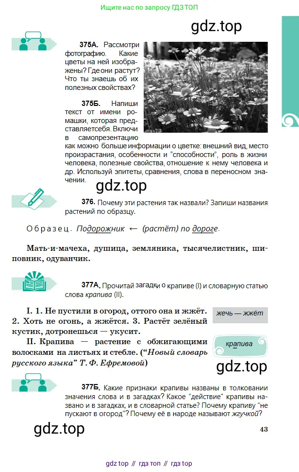 Русский язык, 5 класс Учебник, авторы: Сабитова Зинаида Какбаевна, Скляренко Ксения Сергеевна, издательство Мектеп, Алматы, 2018, Часть 2, страница 43