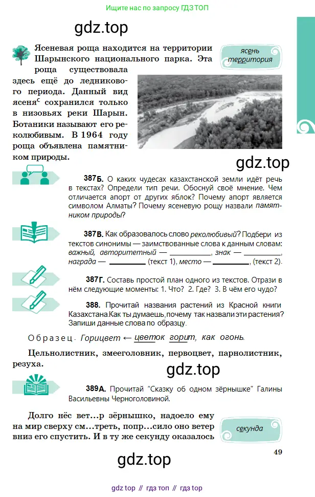 Русский язык, 5 класс Учебник, авторы: Сабитова Зинаида Какбаевна, Скляренко Ксения Сергеевна, издательство Мектеп, Алматы, 2018, Часть 2, страница 49
