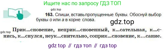 Русский язык, 5 класс Учебник, авторы: Сабитова Зинаида Какбаевна, Скляренко Ксения Сергеевна, издательство Мектеп, Алматы, 2018, Часть 1, страница 88, номер 163, Условие