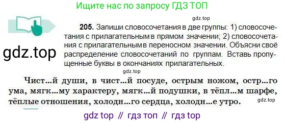 Русский язык, 5 класс Учебник, авторы: Сабитова Зинаида Какбаевна, Скляренко Ксения Сергеевна, издательство Мектеп, Алматы, 2018, Часть 1, страница 113, номер 205, Условие