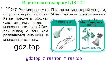 Русский язык, 5 класс Учебник, авторы: Сабитова Зинаида Какбаевна, Скляренко Ксения Сергеевна, издательство Мектеп, Алматы, 2018, Часть 1, страница 119, номер 217, Условие