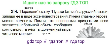 Русский язык, 5 класс Учебник, авторы: Сабитова Зинаида Какбаевна, Скляренко Ксения Сергеевна, издательство Мектеп, Алматы, 2018, Часть 2, страница 9, номер 314, Условие