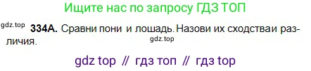 Русский язык, 5 класс Учебник, авторы: Сабитова Зинаида Какбаевна, Скляренко Ксения Сергеевна, издательство Мектеп, Алматы, 2018, Часть 2, страница 19, номер 334А, Условие