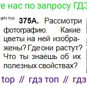 Русский язык, 5 класс Учебник, авторы: Сабитова Зинаида Какбаевна, Скляренко Ксения Сергеевна, издательство Мектеп, Алматы, 2018, Часть 2, страница 43, номер 375А, Условие