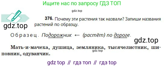 Русский язык, 5 класс Учебник, авторы: Сабитова Зинаида Какбаевна, Скляренко Ксения Сергеевна, издательство Мектеп, Алматы, 2018, Часть 2, страница 43, номер 376, Условие