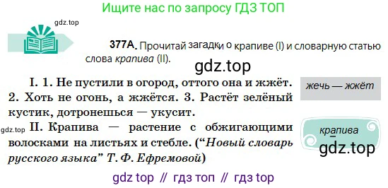 Русский язык, 5 класс Учебник, авторы: Сабитова Зинаида Какбаевна, Скляренко Ксения Сергеевна, издательство Мектеп, Алматы, 2018, Часть 2, страница 43, номер 377А, Условие