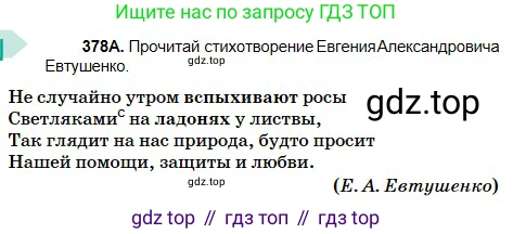 Русский язык, 5 класс Учебник, авторы: Сабитова Зинаида Какбаевна, Скляренко Ксения Сергеевна, издательство Мектеп, Алматы, 2018, Часть 2, страница 44, номер 378А, Условие