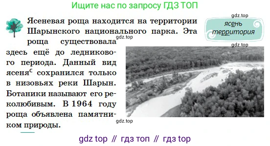 Русский язык, 5 класс Учебник, авторы: Сабитова Зинаида Какбаевна, Скляренко Ксения Сергеевна, издательство Мектеп, Алматы, 2018, Часть 2, страница 48, номер 387А, Условие (продолжение 2)