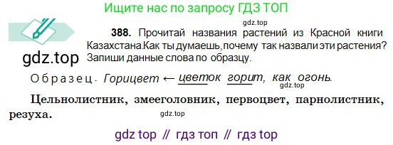 Русский язык, 5 класс Учебник, авторы: Сабитова Зинаида Какбаевна, Скляренко Ксения Сергеевна, издательство Мектеп, Алматы, 2018, Часть 2, страница 49, номер 388, Условие