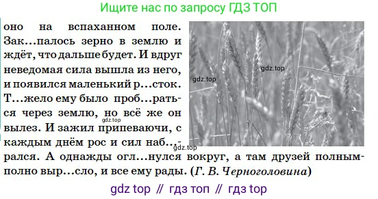 Русский язык, 5 класс Учебник, авторы: Сабитова Зинаида Какбаевна, Скляренко Ксения Сергеевна, издательство Мектеп, Алматы, 2018, Часть 2, страница 49, номер 389А, Условие (продолжение 2)