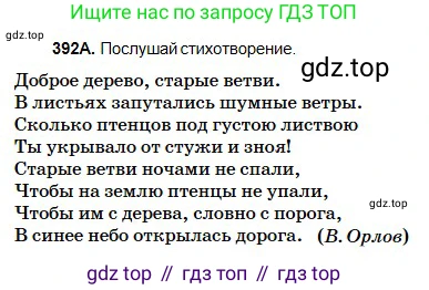 Русский язык, 5 класс Учебник, авторы: Сабитова Зинаида Какбаевна, Скляренко Ксения Сергеевна, издательство Мектеп, Алматы, 2018, Часть 2, страница 51, номер 392А, Условие
