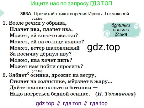 Русский язык, 5 класс Учебник, авторы: Сабитова Зинаида Какбаевна, Скляренко Ксения Сергеевна, издательство Мектеп, Алматы, 2018, Часть 2, страница 52, номер 393А, Условие