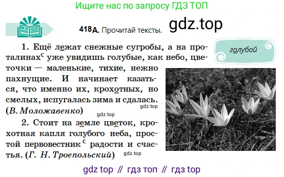Русский язык, 5 класс Учебник, авторы: Сабитова Зинаида Какбаевна, Скляренко Ксения Сергеевна, издательство Мектеп, Алматы, 2018, Часть 2, страница 62, номер 418А, Условие