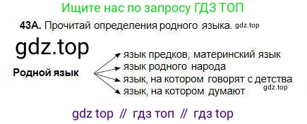 Русский язык, 5 класс Учебник, авторы: Сабитова Зинаида Какбаевна, Скляренко Ксения Сергеевна, издательство Мектеп, Алматы, 2018, Часть 1, страница 27, номер 43А, Условие