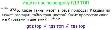 Русский язык, 5 класс Учебник, авторы: Сабитова Зинаида Какбаевна, Скляренко Ксения Сергеевна, издательство Мектеп, Алматы, 2018, Часть 2, страница 42, номер 373Б, Условие