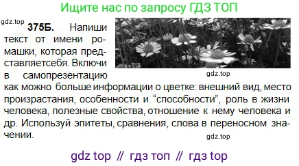 Русский язык, 5 класс Учебник, авторы: Сабитова Зинаида Какбаевна, Скляренко Ксения Сергеевна, издательство Мектеп, Алматы, 2018, Часть 2, страница 43, номер 375Б, Условие