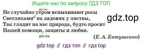 Русский язык, 5 класс Учебник, авторы: Сабитова Зинаида Какбаевна, Скляренко Ксения Сергеевна, издательство Мектеп, Алматы, 2018, Часть 2, страница 44, номер 378Б, Условие (продолжение 2)