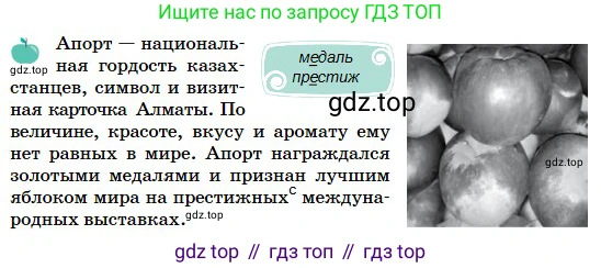 Русский язык, 5 класс Учебник, авторы: Сабитова Зинаида Какбаевна, Скляренко Ксения Сергеевна, издательство Мектеп, Алматы, 2018, Часть 2, страница 49, номер 387Б, Условие (продолжение 2)