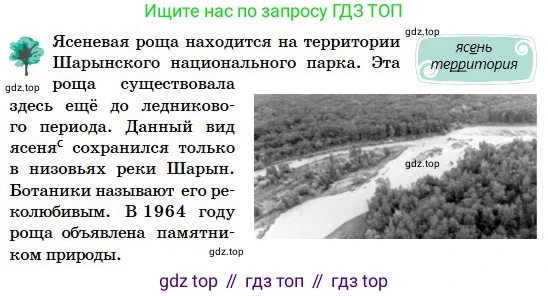 Русский язык, 5 класс Учебник, авторы: Сабитова Зинаида Какбаевна, Скляренко Ксения Сергеевна, издательство Мектеп, Алматы, 2018, Часть 2, страница 49, номер 387Б, Условие (продолжение 3)