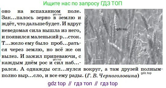 Русский язык, 5 класс Учебник, авторы: Сабитова Зинаида Какбаевна, Скляренко Ксения Сергеевна, издательство Мектеп, Алматы, 2018, Часть 2, страница 50, номер 389Б, Условие (продолжение 3)