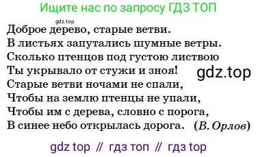 Русский язык, 5 класс Учебник, авторы: Сабитова Зинаида Какбаевна, Скляренко Ксения Сергеевна, издательство Мектеп, Алматы, 2018, Часть 2, страница 52, номер 392Б, Условие (продолжение 2)