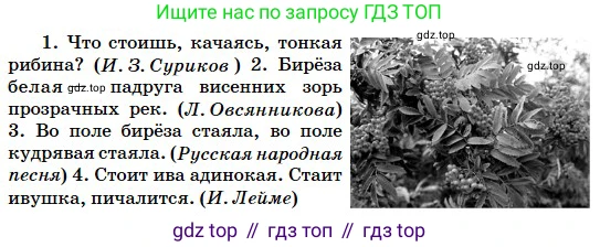 Русский язык, 5 класс Учебник, авторы: Сабитова Зинаида Какбаевна, Скляренко Ксения Сергеевна, издательство Мектеп, Алматы, 2018, Часть 2, страница 53, номер 394Б, Условие (продолжение 2)