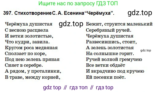 Русский язык, 5 класс Учебник, авторы: Сабитова Зинаида Какбаевна, Скляренко Ксения Сергеевна, издательство Мектеп, Алматы, 2018, Часть 2, страница 54, номер 397Б, Условие (продолжение 2)