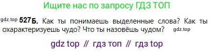 Русский язык, 5 класс Учебник, авторы: Сабитова Зинаида Какбаевна, Скляренко Ксения Сергеевна, издательство Мектеп, Алматы, 2018, Часть 2, страница 115, номер 527Б, Условие