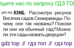 Русский язык, 5 класс Учебник, авторы: Сабитова Зинаида Какбаевна, Скляренко Ксения Сергеевна, издательство Мектеп, Алматы, 2018, Часть 2, страница 122, номер 539Б, Условие
