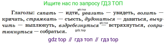 Русский язык, 5 класс Учебник, авторы: Сабитова Зинаида Какбаевна, Скляренко Ксения Сергеевна, издательство Мектеп, Алматы, 2018, Часть 2, страница 9, номер 313Г, Условие (продолжение 3)