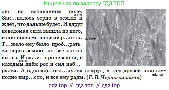Русский язык, 5 класс Учебник, авторы: Сабитова Зинаида Какбаевна, Скляренко Ксения Сергеевна, издательство Мектеп, Алматы, 2018, Часть 2, страница 50, номер 389Г, Условие (продолжение 3)