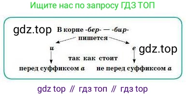 Русский язык, 5 класс Учебник, авторы: Сабитова Зинаида Какбаевна, Скляренко Ксения Сергеевна, издательство Мектеп, Алматы, 2018, Часть 1, страница 87, номер 161В, Условие (продолжение 2)