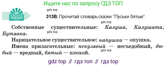 Русский язык, 5 класс Учебник, авторы: Сабитова Зинаида Какбаевна, Скляренко Ксения Сергеевна, издательство Мектеп, Алматы, 2018, Часть 2, страница 8, номер 313В, Условие