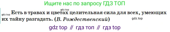 Русский язык, 5 класс Учебник, авторы: Сабитова Зинаида Какбаевна, Скляренко Ксения Сергеевна, издательство Мектеп, Алматы, 2018, Часть 2, страница 42, номер 373В, Условие (продолжение 2)