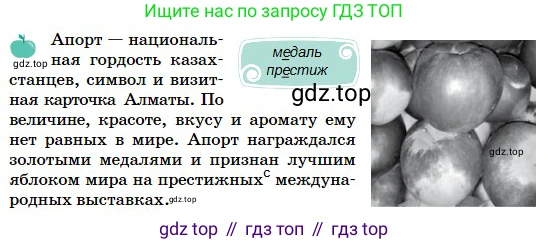 Русский язык, 5 класс Учебник, авторы: Сабитова Зинаида Какбаевна, Скляренко Ксения Сергеевна, издательство Мектеп, Алматы, 2018, Часть 2, страница 49, номер 387В, Условие (продолжение 2)
