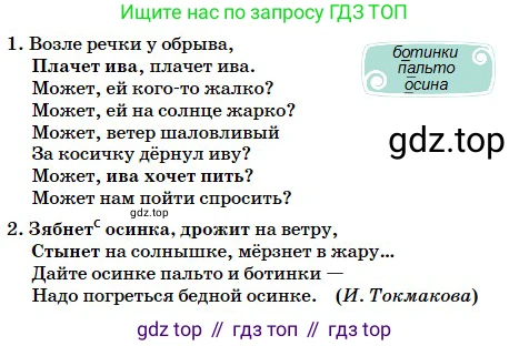 Русский язык, 5 класс Учебник, авторы: Сабитова Зинаида Какбаевна, Скляренко Ксения Сергеевна, издательство Мектеп, Алматы, 2018, Часть 2, страница 52, номер 393В, Условие (продолжение 2)