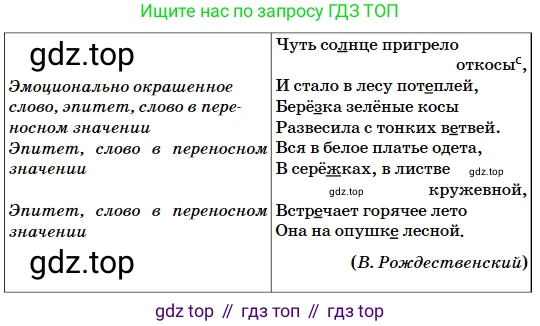 Русский язык, 5 класс Учебник, авторы: Сабитова Зинаида Какбаевна, Скляренко Ксения Сергеевна, издательство Мектеп, Алматы, 2018, Часть 2, страница 54, номер 396В, Условие (продолжение 2)