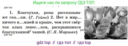 Русский язык, 5 класс Учебник, авторы: Сабитова Зинаида Какбаевна, Скляренко Ксения Сергеевна, издательство Мектеп, Алматы, 2018, Часть 2, страница 62, номер 415В, Условие (продолжение 2)