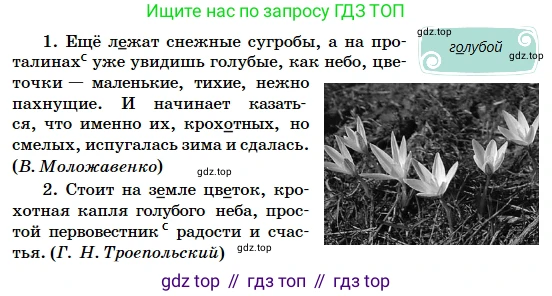 Русский язык, 5 класс Учебник, авторы: Сабитова Зинаида Какбаевна, Скляренко Ксения Сергеевна, издательство Мектеп, Алматы, 2018, Часть 2, страница 62, номер 418В, Условие (продолжение 2)