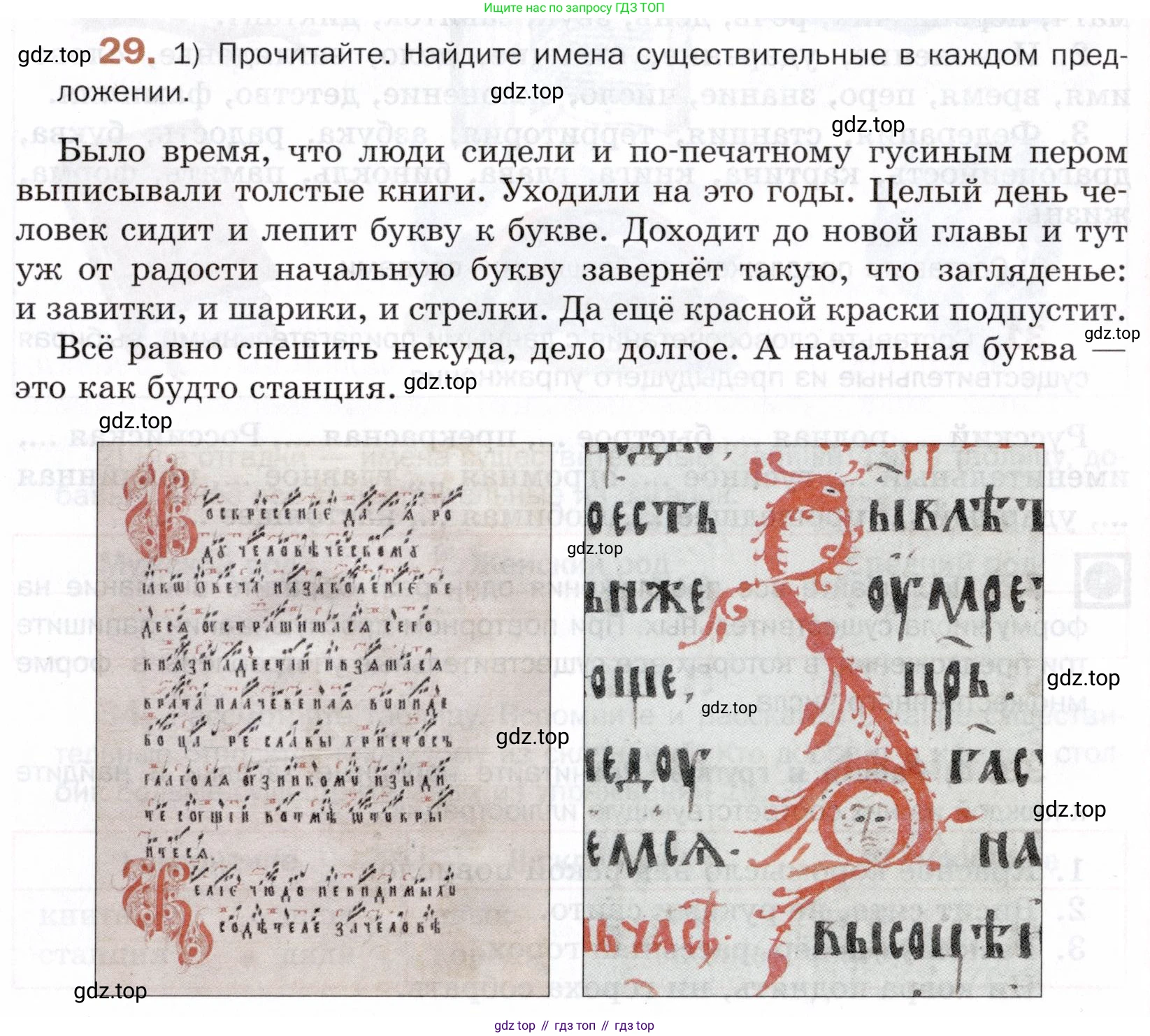 ГДЗ Русский язык, 5 класс Учебник, авторы: Шмелёв Алексей Дмитриевич, Флоренская Эльза Александровна, Габович Фаина Ефимовна, Савчук Лариса Олеговна(2), Шмелёва Елена Яковлевна, издательство Просвещение, Москва, 2021, Часть 1, страница 21, номер 29, Условие