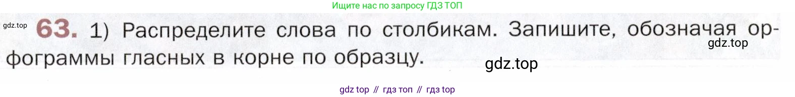 ГДЗ Русский язык, 5 класс Учебник, авторы: Шмелёв Алексей Дмитриевич, Флоренская Эльза Александровна, Габович Фаина Ефимовна, Савчук Лариса Олеговна(2), Шмелёва Елена Яковлевна, издательство Просвещение, Москва, 2021, Часть 1, страница 39, номер 63, Условие