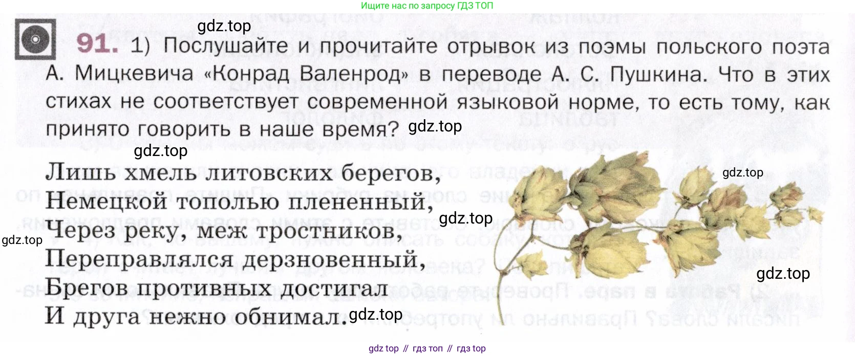 ГДЗ Русский язык, 5 класс Учебник, авторы: Шмелёв Алексей Дмитриевич, Флоренская Эльза Александровна, Габович Фаина Ефимовна, Савчук Лариса Олеговна(2), Шмелёва Елена Яковлевна, издательство Просвещение, Москва, 2021, Часть 1, страница 57, номер 91, Условие