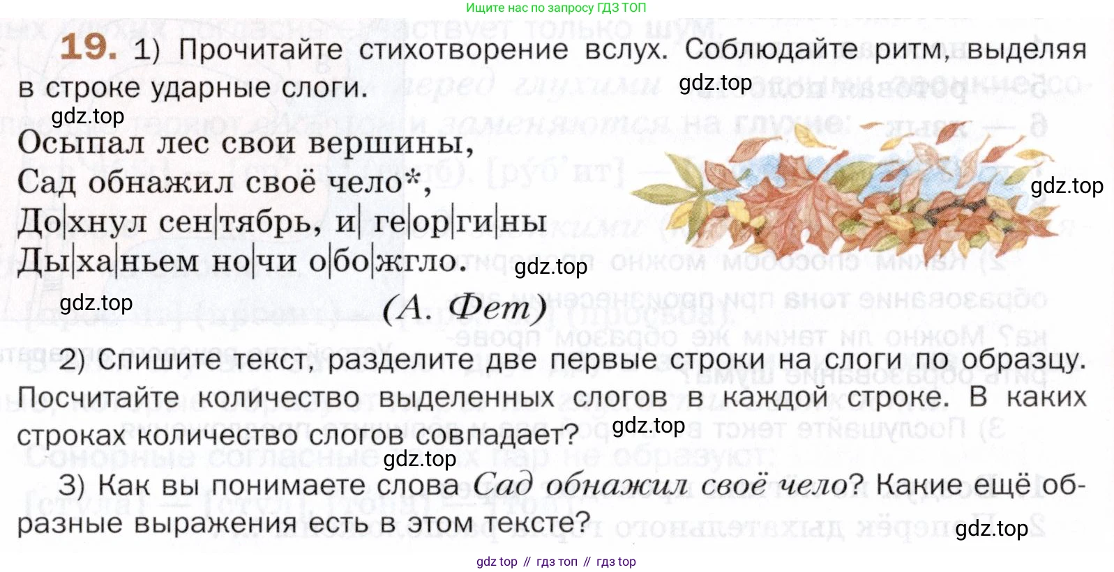 ГДЗ Русский язык, 5 класс Учебник, авторы: Шмелёв Алексей Дмитриевич, Флоренская Эльза Александровна, Габович Фаина Ефимовна, Савчук Лариса Олеговна(2), Шмелёва Елена Яковлевна, издательство Просвещение, Москва, 2021, Часть 1, страница 81, номер 19, Условие